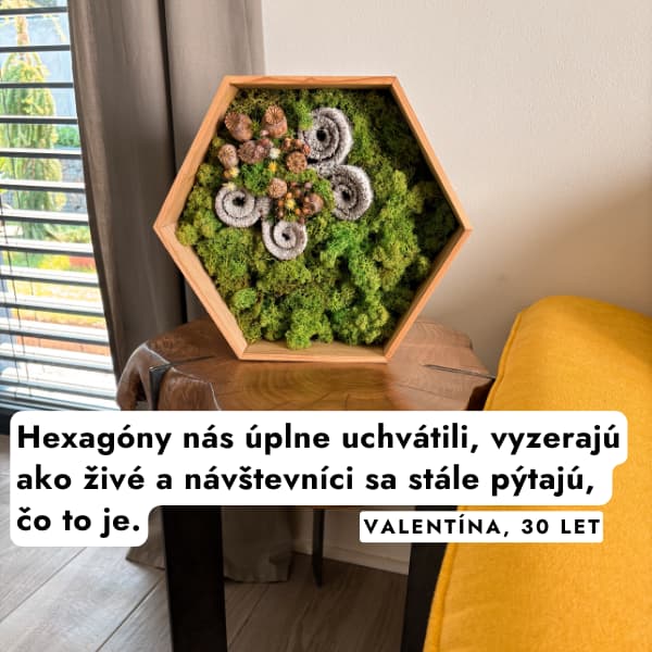 machove_dekoracie_obchod